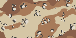 6-Color Desert Camouflage
