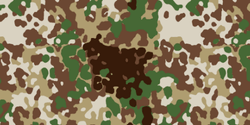 Arid Flecktarn Camouflage