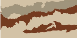 FR-3 Desert Camouflage