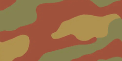San Marco Camouflage