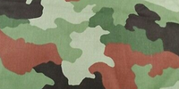 M93 Eichenblatt