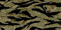 Tigerstreifen