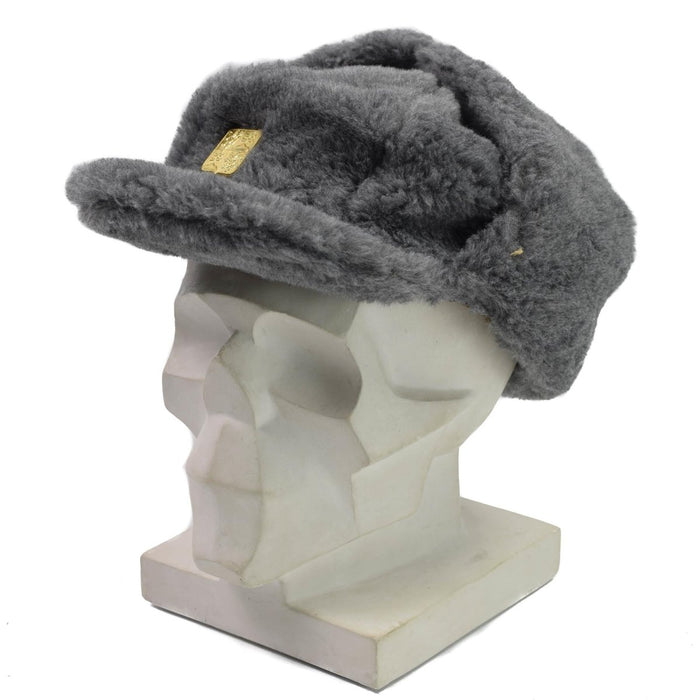 Chapeau d'hiver militaire en fausse fourrure grise de la République tchèque avec oreillettes et insignes dorés sur une tête de mannequin