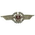 Original East German NVA DDR army military Cap Hat cockade pin badge officer